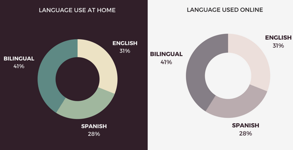Hispanic Audience Infographic-286655-edited.png
