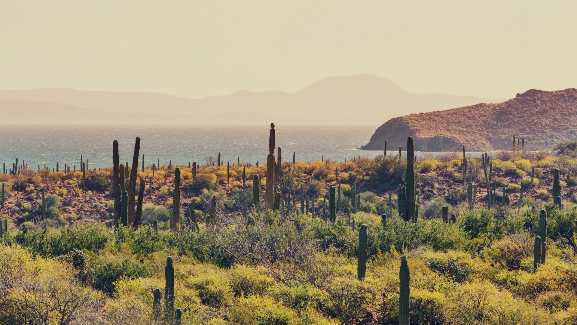 background image (2).jpg